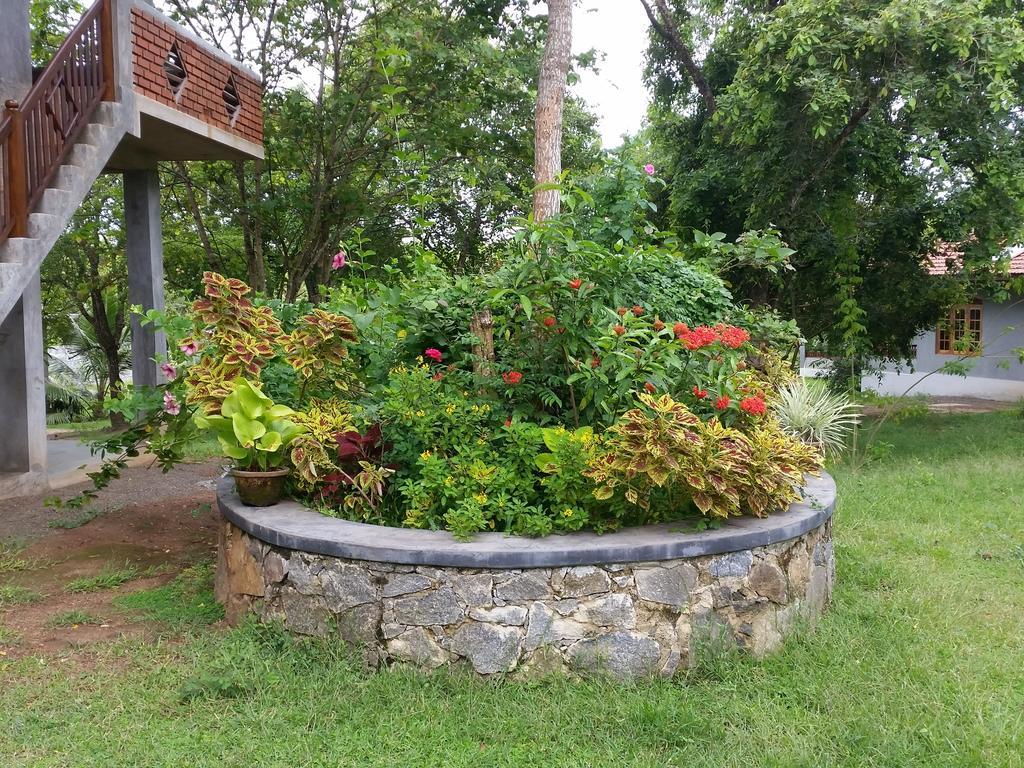 Tranquality Chalets Tangalle Rum bild