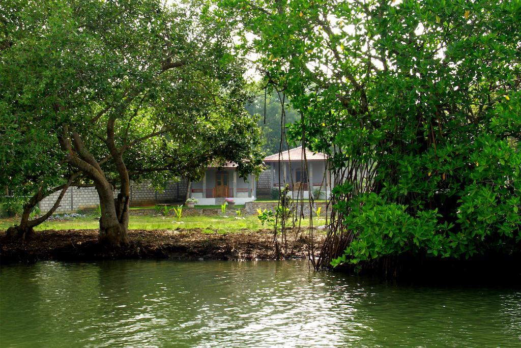 Tranquality Chalets Tangalle Exteriör bild